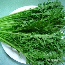 广西芥菜最新价格-广西芥菜行情速览