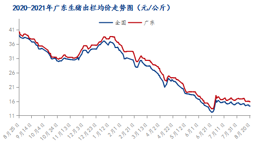 广东今日最新猪价涨跌（广东猪价今日动态解析）