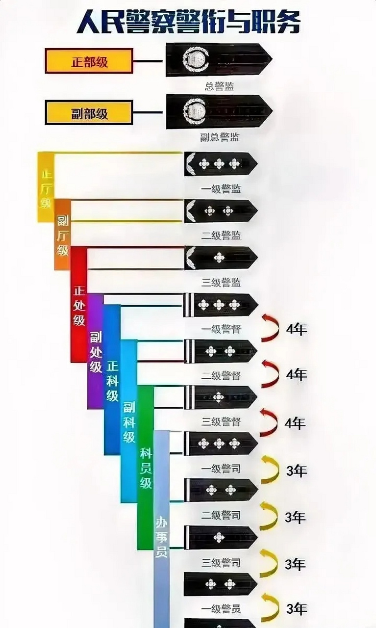 最新解读：警察职级改革动态