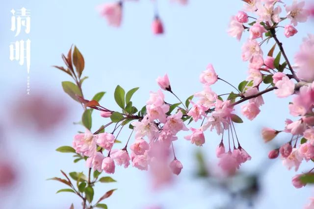 炎夏时节，伏天氏新篇绽放光彩