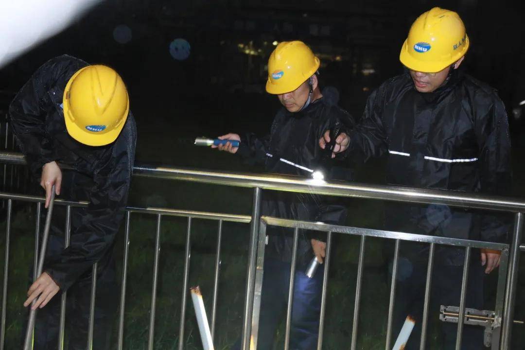 台风最新动态，风雨同舟，共筑平安家园