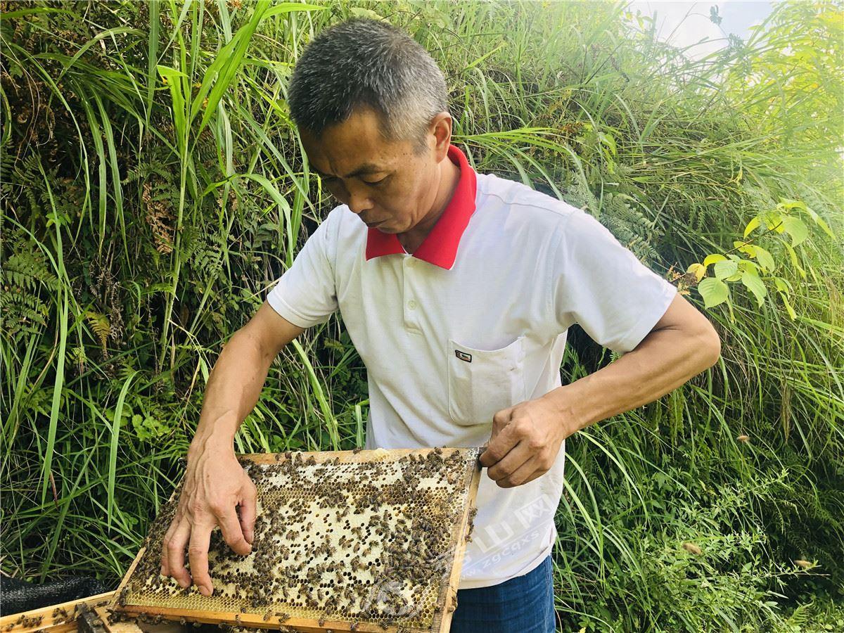 岑溪人才市场最新职位发布