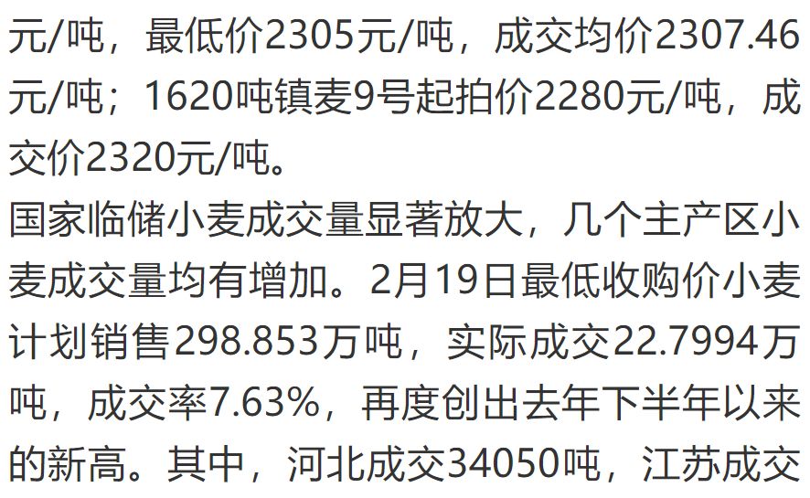 山东小麦市场价格动态（今日）